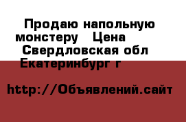 Продаю напольную монстеру › Цена ­ 300 - Свердловская обл., Екатеринбург г.  »    